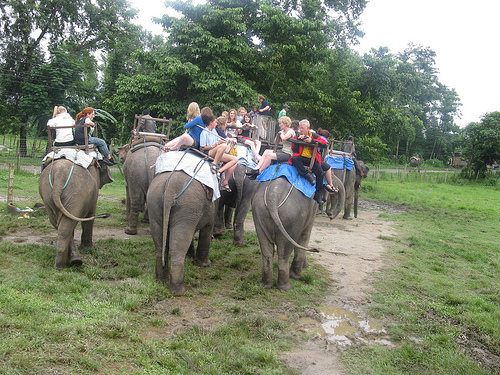 सौराहा घुम्ने पर्यटकलाई ३० प्रतिशतसम्म छुट