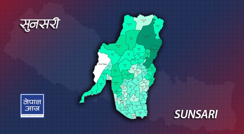 छुरा प्रहारबाट मनी ट्रान्सफरका सञ्चालक घाइते