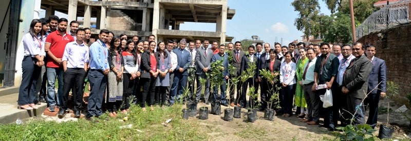 एनआईसी एशियाद्धारा बिरुवा बृक्षारोपण