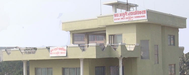 ऋण असुली न्यायाधिकरणको फैसला : साढे ५ अर्ब उठेन