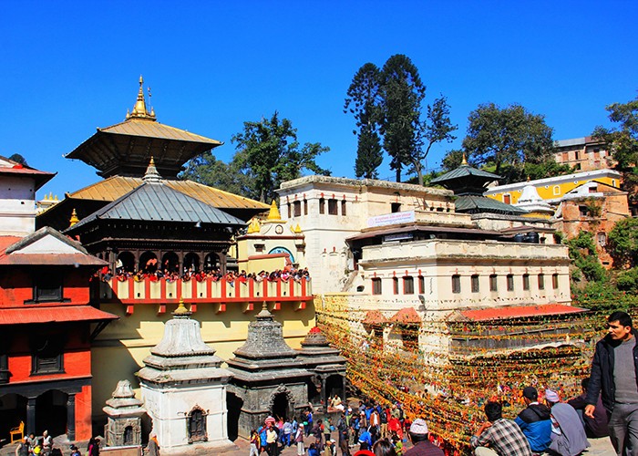 पशुपतिकाे भेटी सात वर्षमा ६८ कराेड रुपैयाँ