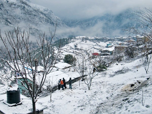 हुम्लामा फेरि हिमपात, हवाई सेवा अवरुद्ध