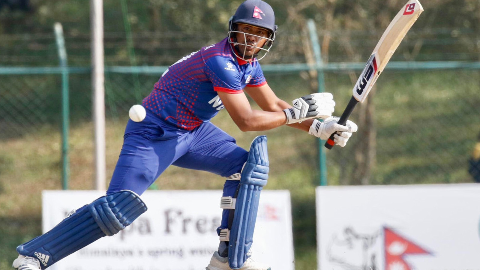 युएईसँगको तीन एकदिवसीय क्रिकेट शृंखलामा नेपाल विजयी