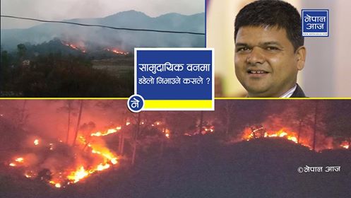 सामुदायिक वनमा लागेको डढेलो किन निभेन ?