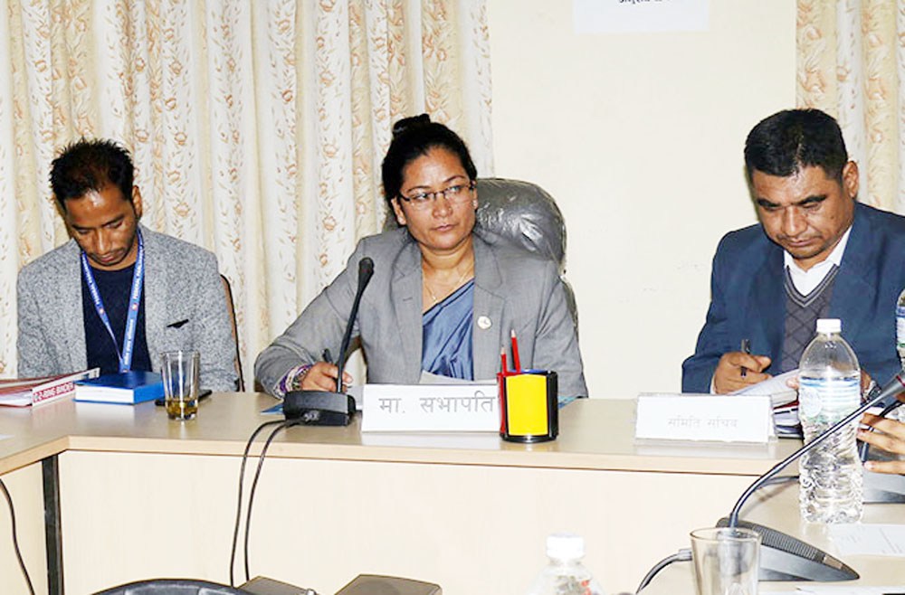 युवाहरु पलायनका कारण सामाजिक समस्या देखा पर्न थालेको भन्दै सांसदहरु चिन्तित
