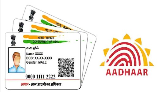 नेपाल-भारत सिमाबाट नक्कली भारतीय आधार कार्ड बोकेका एक चिनियाँ पक्राउ 