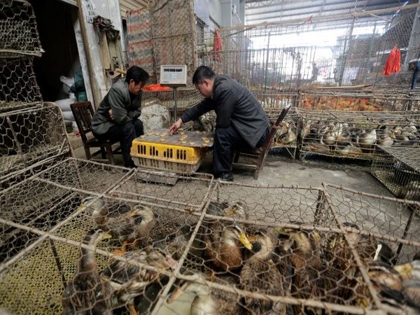 चीनको वुहान समुद्री खाना बजार कोविड -१९ प्रकोपको फैलियो : अध्ययन