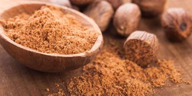 हाडजोर्नीका लागि अति नै फाइदाजनक छ जाइफ़ल, प्रयोग गर्ने कि ?
